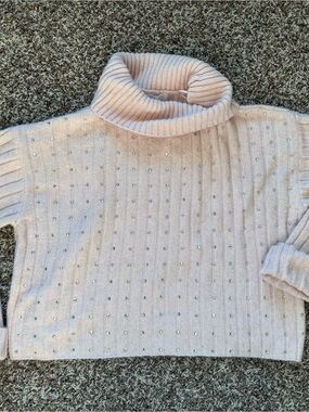 Adyson Parker Blush Pink Studded Turtleneck Sweater